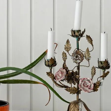 Beautiful In Asserbo's Wooded Area