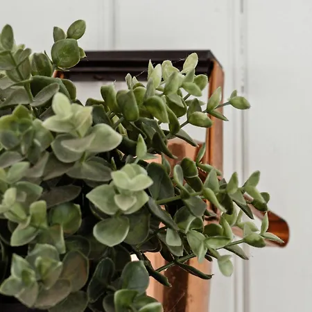 Beautiful In Asserbo's Wooded Area * Frederiksværk