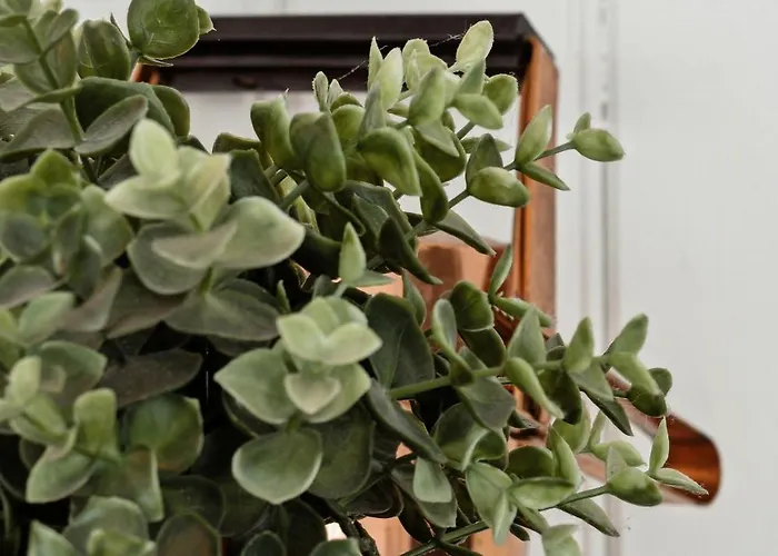 Beautiful In Asserbo's Wooded Area * Frederiksværk