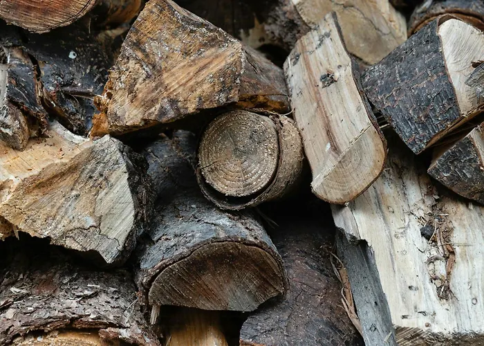 Beautiful In Asserbo's Wooded Area